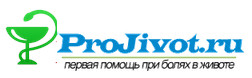 Projivot.ru - желудок, кишечник, печень и почки, диагностика и лечение